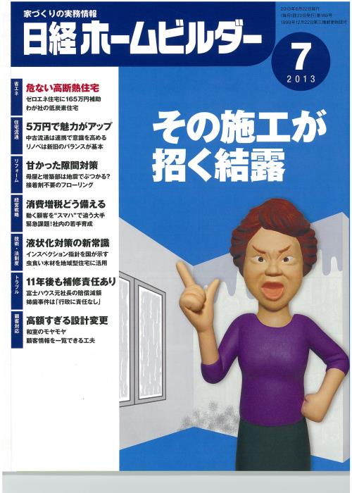 nikkei hb 201307.jpg