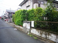 mitaka-6.JPG